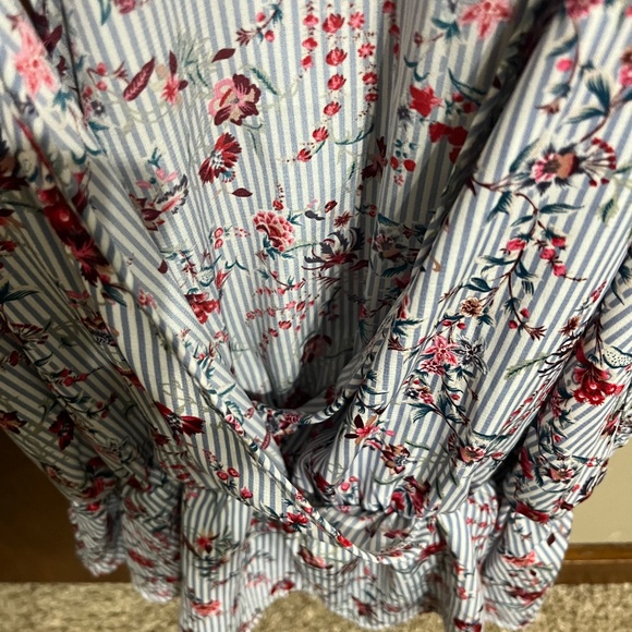 Open tank day trip - Picture 3 of 4